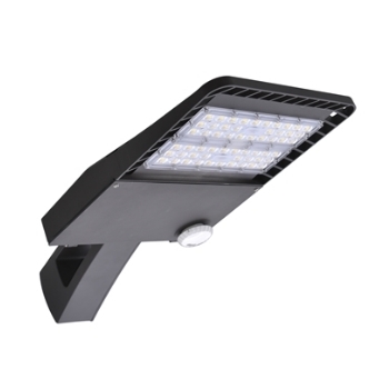 LED Flood Light