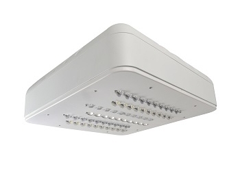 LED-365-NF