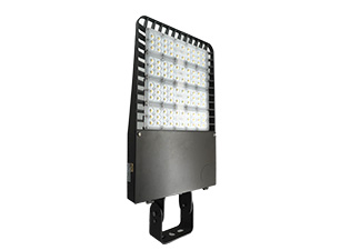 LED Flood Light