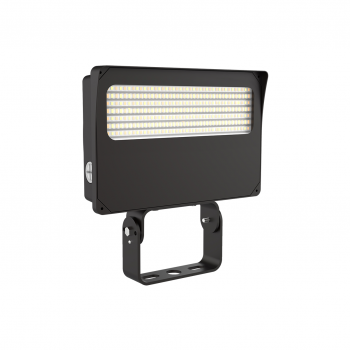 LED Flood Light