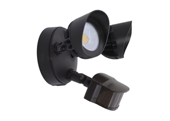 LED Security Light