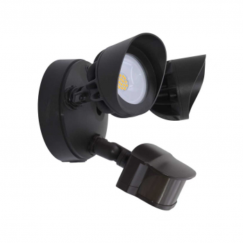 LED Security Light