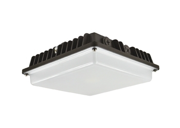 LED Canopy Light