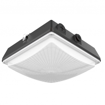 LED Canopy Light